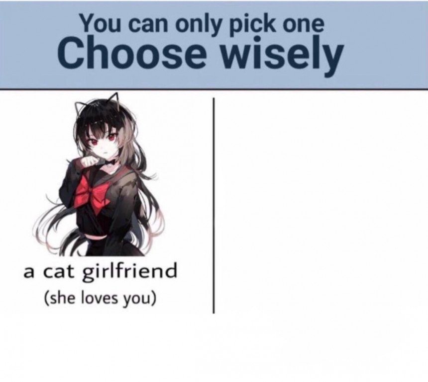 Choose Wisely A Cat Girlfriend Meme Template
