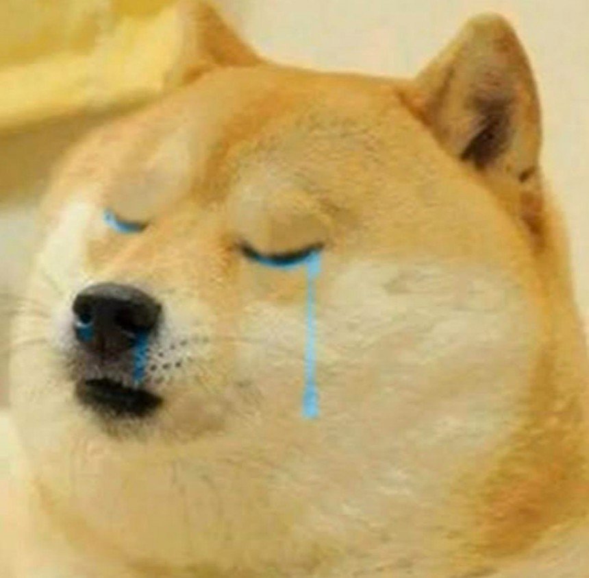 Sad Doge Meme Template