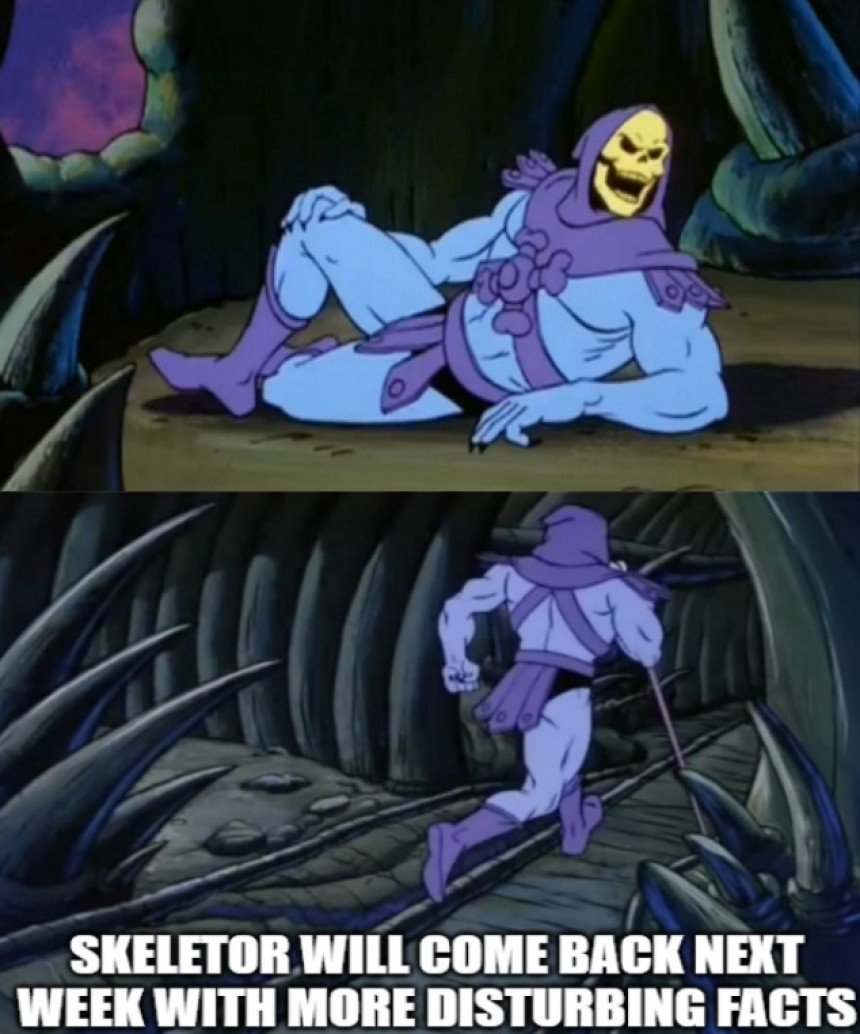 Skeletor Disturbing Facts Meme Template