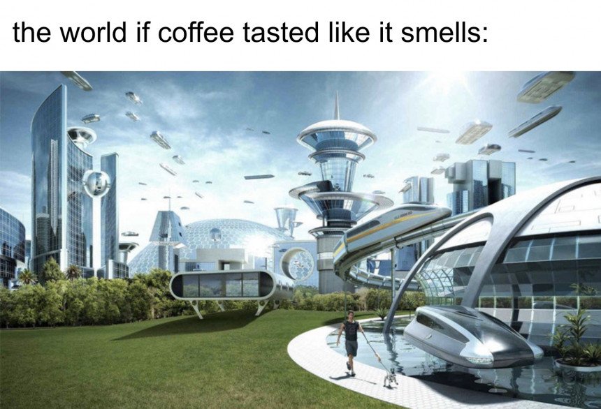 Society If Meme Template