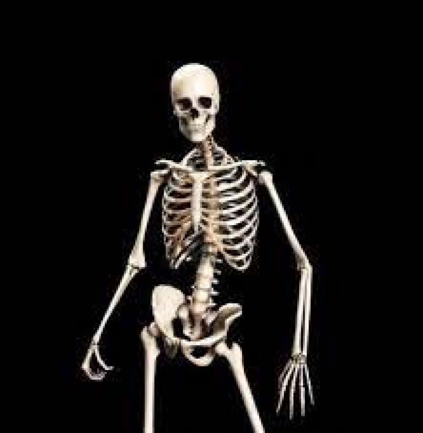 Edgy Skeleton Meme Template