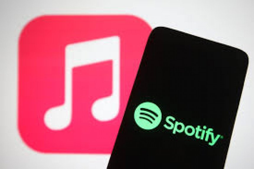 Spotify Wrapped Meme Template